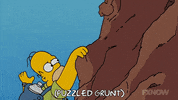 Episode 19 GIF by The Simpsons