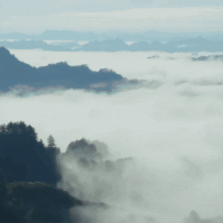 English Flag GIF by TeaCosyFolk