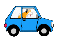 Dog Car Sticker by veto_tierschutz