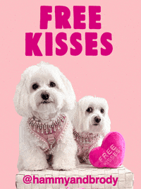 Dogs Kiss GIF by HammyandBrody