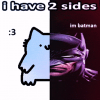 Cat Batman GIF by sillynub