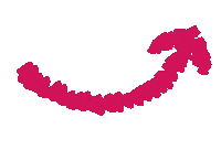 MuniNunoa bus viaje gratis movimiento Sticker