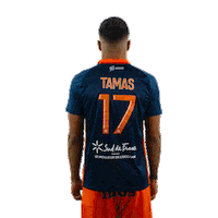 Tamas Sticker by MHSC