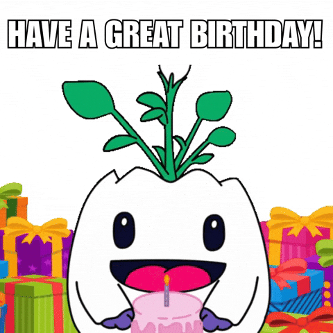 Celebrate Happy Birthday GIF by Magic Eden