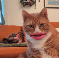 Freaky Friday Oliver GIF