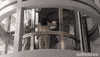 excited tv land GIF by nobodies.