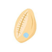 seashell beach vibes Sticker by Wanderlustandco