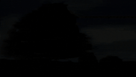 Music Video Chill GIF