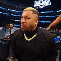 How Could They No Way GIF by WWE