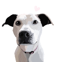 Dog Pet Sticker by Watertown Humane Society