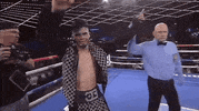 top rank trboxing GIF by Top Rank Boxing