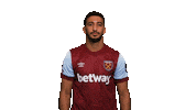 Premier League Hammers Sticker by West Ham United
