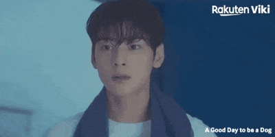 Cha Eun Woo Kdrama Couple GIF by Viki