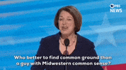 Democratic National Convention Dnc GIF by PBS News