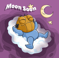 PlayLoveMonster love nft night sleep GIF