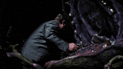 Steve Martin GIF by Coolidge Corner Theatre
