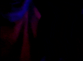 Jack Antonoff GIF by Bleachers