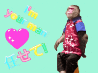 Im Your Man Fun GIF