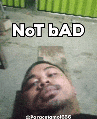 Not Bad Herman GIF