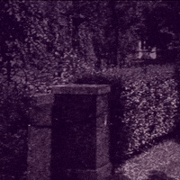 Haymaze animation cats dark watching GIF