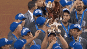 usa team GIF by MLB