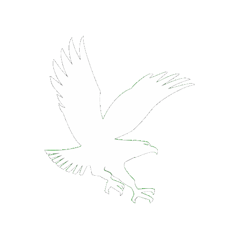 Embry-Riddle giphygifmaker eagles go eagles riddle Sticker