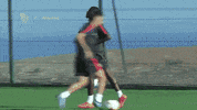 pase la liga GIF by Sevilla Fútbol Club