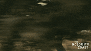 Escape Runaway GIF by Apple TV+