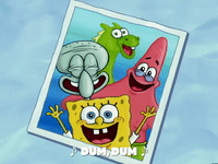 season 5 to love a patty GIF by SpongeBob SquarePants