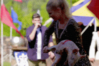 #matty GIF by The Bachelor Australia
