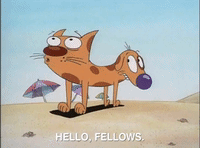nicksplat GIF