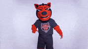 Hype Up Red Wolves GIF by Arkansas State University