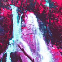 Beauty Love GIF by dualvoidanima