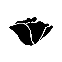 Drugs California Sticker by National Harm Reduction Coalition