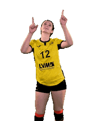 USC_Muenster ball up point volleyball Sticker