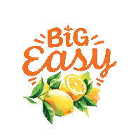 new orleans louisiana Sticker by Big Easy Bucha