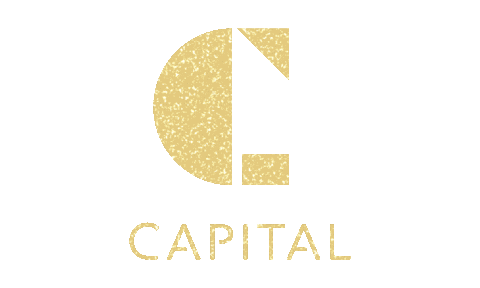 logo glitter Sticker by Zouk