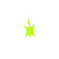 grumpyenoki australia australian animal indigenous artist aboriginal artist Sticker