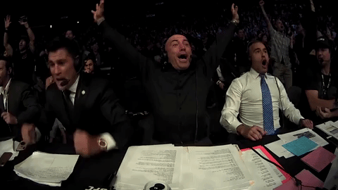 joe rogan mma GIF by UFC