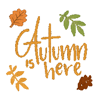 Fall Season Sticker Sticker by Emilia Desert