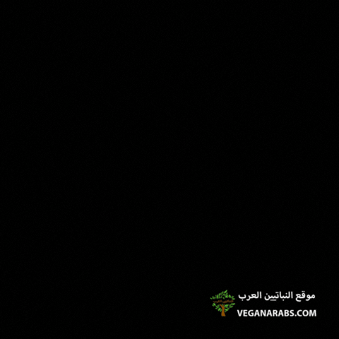 Eid Al Fitr GIF by VeganArabs