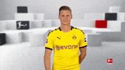 Football Soccer GIF by Bundesliga
