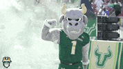 Flex Usf GIF by SoFloBulls