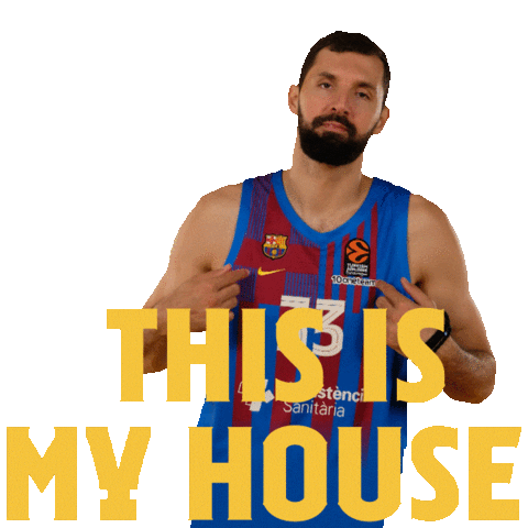 Basketball Basket Sticker by FC Barcelona