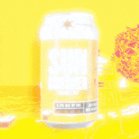 Star Wars Summer GIF by revbrewchicago