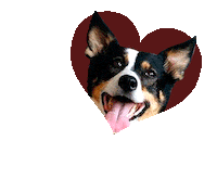 Лежанка Для Собак Sticker by PET BED