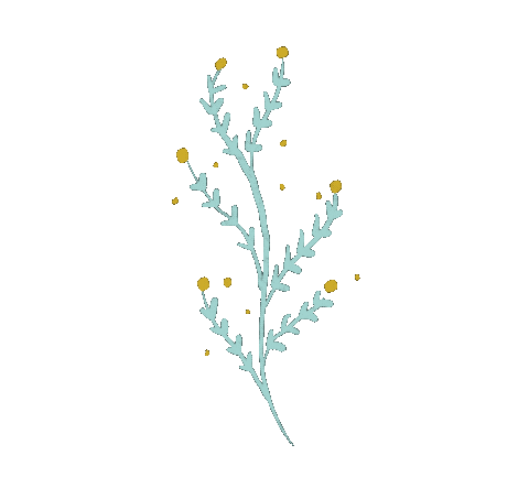 maypop giphyupload plant plants leaf Sticker