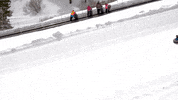 GIF by bogus basin