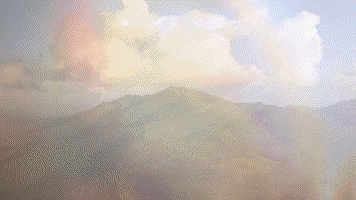 Napa Valley Wine GIF by Hertelendy Vineyards
