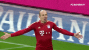 happy arjen robben GIF by FC Bayern Munich